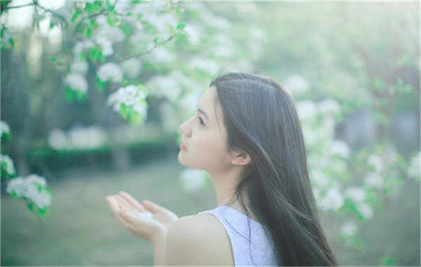 蕉岭验血查男女几周可以验(验血查男女结果图)